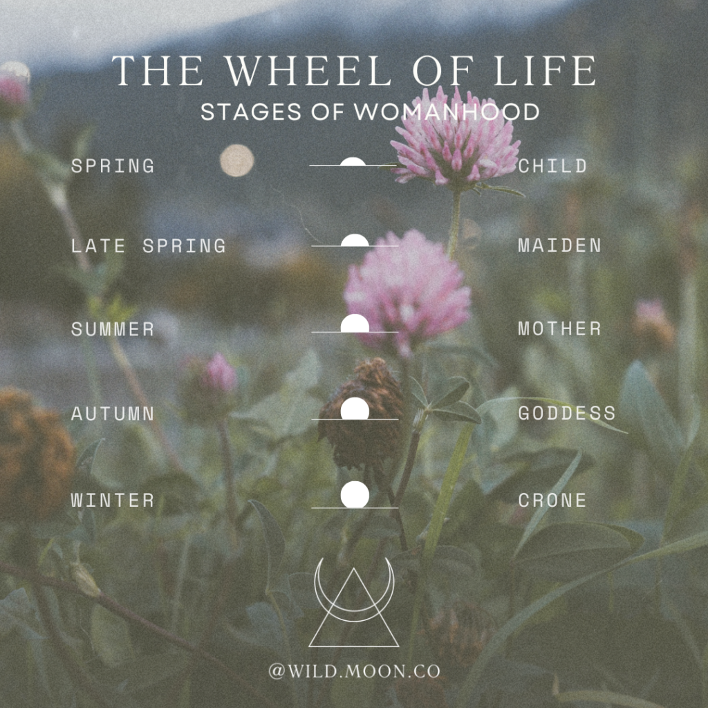Wheel of Life